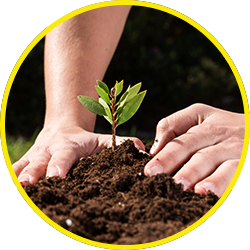 ambiental
